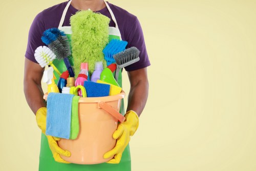 Pet-friendly sofa cleaning in a family home in Chelsea
