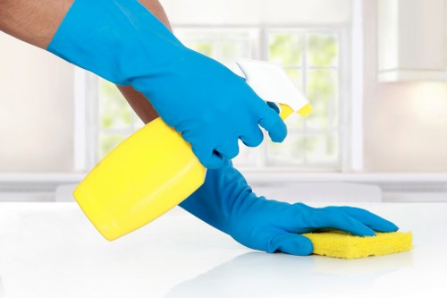 Regular domestic cleaning tasks in a Chelsea kitchen and bathroom