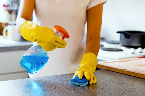 Professional oven cleaner in Chelsea restoring a kitchen oven