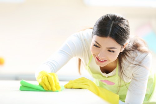 Kitchen, oven and hard surface cleaning