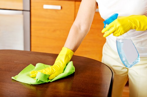Cleaning team handling a domestic job with care and attention